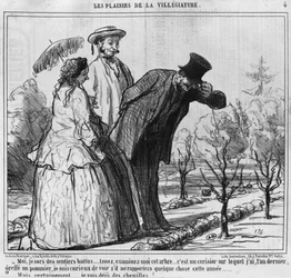 Les Plaisirs de la villégiature, illustration de 